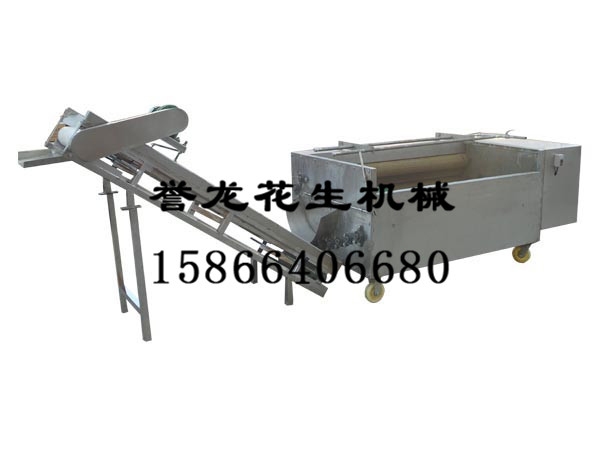 花生果清洗機(jī)