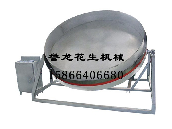 大型帶刺韓國豆成型機