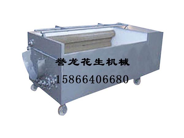 氣泡蔬菜清洗機(jī)