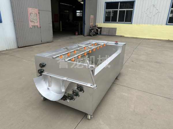花生果清洗機 毛輥洗果機 胡蘿卜 土豆  紅薯清洗機